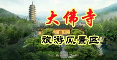 骚表姐的大黑穴视频中国浙江-新昌大佛寺旅游风景区